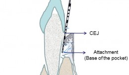 Examiner Standardization And Calibration 