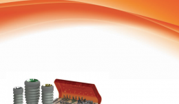 Biohorizons Plus Implant System