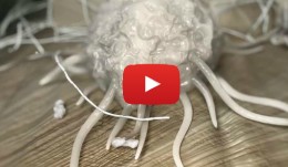 Cell-to-Cell Communication: Guided Bone Regeneration