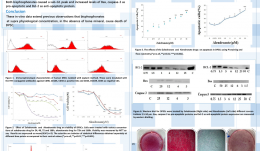 INVESTIGATION OF BISPHOSPHONATE-INDUCED TOXICITY ON DENTAL PULP STEM CELLS