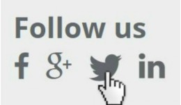 Osteology Foundation goes social