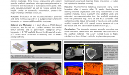 PERIOSTEAL PREFABRICATION OF VASCULARISED CAD/CAM BONE SCAFFOLDS