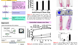 AZITHROMYCIN-RELEASING POLYMERIC MEMBRANES FOR GUIDED BONE REGENERATION (GBR)