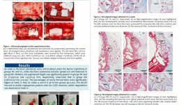 SEQUENTIAL HEALING OF ONLAY BONE GRAFTS USING COMBINED BIOMATERIALS WITH CROSS-LINKED COLLAGEN IN DOGS