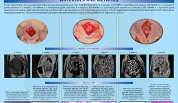 MICROTOMOGRAPHY AND MICROSCOPIC ANALYSIS OF THE BEHAVIOR OF RECOMBINANT BONE MORPHOGENETIC PROTEIN-2 (rhBMP-2) ASSOCIATED WITH BIOMATERIALS IN REPAIRING DEFECTS CRITICS ON RAT CALVARIUM