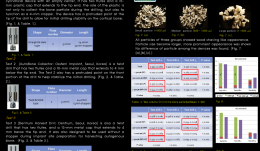 VOLUMETRIC COMPARISON OF THREE DIFFERENT INNOVATIVE BONE-COLLECTING DEVICES FOR AUTOGENOUS BONE GRAFTS