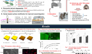 BIOMIMETIC APPROACH TO STIMULATE OSTEOGENESIS ON TITANIUM IMPLANT SURFACES USING FIBRONECTIN-DERIVED OLIGOPEPTIDE