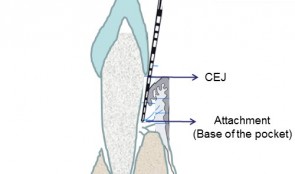Examiner Standardization And Calibration 