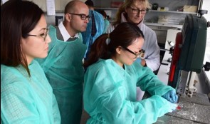 All about Hard Tissue Research - the Research Academy in Kiel