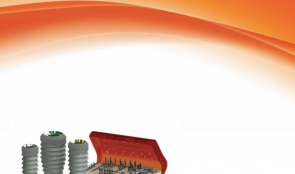 Biohorizons Plus Implant System