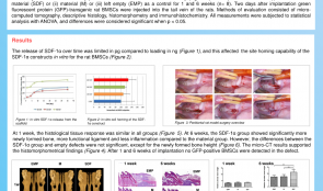PERIODONTAL REGENERATION VIA CELL HOMING