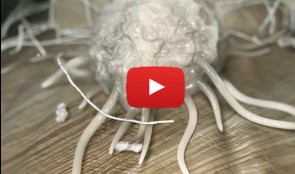 Cell-to-Cell Communication: Guided Bone Regeneration