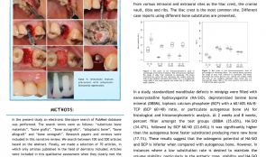 COMPARISON OF DIFFERENT BONE SUBSTITUTES BASED ON A LITERATURE REVIEW