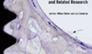 Immediate Fixed Rehabilitation of the Edentulous Maxilla: A Prospective Clinical and Radiological Study after 3 Years of Loading