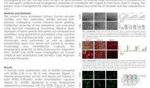 MOLECULAR DISCRIMINATION AND ANGIOGENESIS PROPERTIES OF HUMAN OSTEOBLASTS FROM DIFFERENT BONE ENTITIES