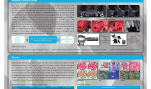 HISTOLOGICAL ANALYSIS OF CORES OBTAINED DURING IMPLANT PLACEMENT IN SITES WITH PREVIOUS LATERAL MAXILLARY SINUS FLOOR LIFT