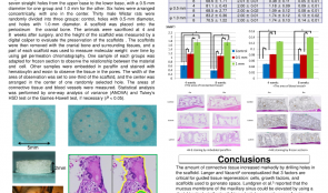 MORPHOLOGICAL EVALUATION OF SOFT TISSUE AUGMENTATION USING POROUS POLY-D, L-LACTIC ACID WITH STRAIGHT HOLES