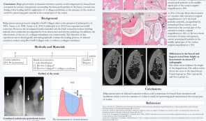 RIDGE PRESERVATION OF EXTRACTION SOCKETS WITH CHRONIC PATHOLOGY USING BIOOSS COLLAGEN WITH OR WITHOUT BIOGIDE—AN EXPERIMENTAL STUDY IN DOGS