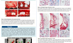 SEQUENTIAL HEALING OF ONLAY BONE GRAFTS USING COMBINED BIOMATERIALS WITH CROSS-LINKED COLLAGEN IN DOGS