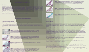 EARLY HISTOMORPHOMETRIC ANALYSIS OF EFFECTS OF CONCENTRATED GROWTH FACTOR ON BONE FORMATION IN EXPERIMENTAL BONE DEFECTS