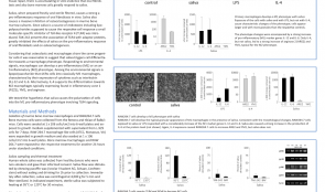 SALIVA SUPPORTS THE FORMATION OF PRO-INFLAMMATORY MACROPHAGES IN MURINE BONE MARROW CULTURES