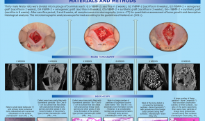 MICROTOMOGRAPHY AND MICROSCOPIC ANALYSIS OF THE BEHAVIOR OF RECOMBINANT BONE MORPHOGENETIC PROTEIN-2 (rhBMP-2) ASSOCIATED WITH BIOMATERIALS IN REPAIRING DEFECTS CRITICS ON RAT CALVARIUM