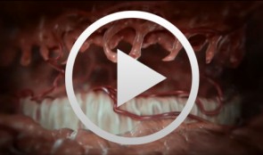 Cell-to-Cell Communication: Periodontal Regeneration